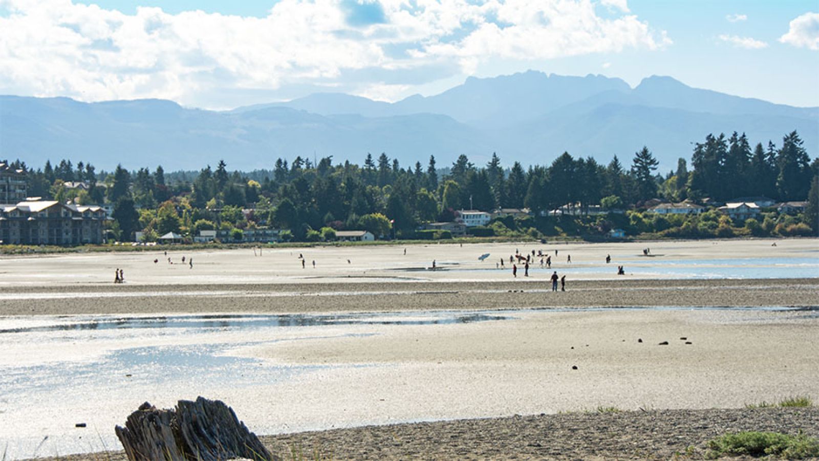 Parksville beach photo with population playing