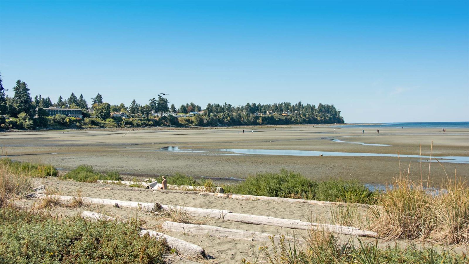 Parksville nature scene with ocean and beach